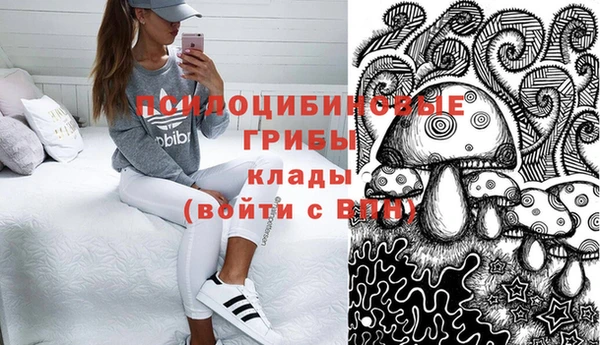 2c-b Аркадак