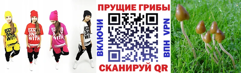 сколько стоит  Малоархангельск  Галлюциногенные грибы мицелий 